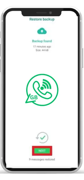 Download GB WhatsApp Pro APK 18.30(Official) Latest Version 23 Click on next button